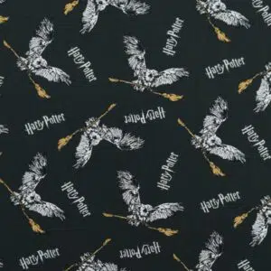 Jersey Harry Potter Hedwig & Nimbus 2000 dunkelgrau