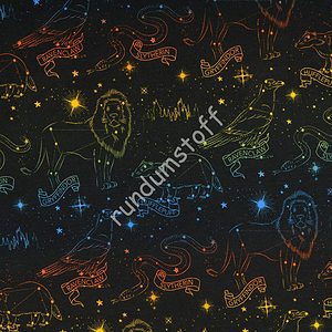 Jersey Harry Potter Constellations noir
